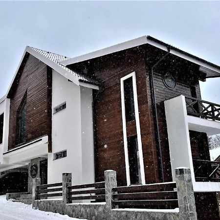 Casa Larisa - Wolves Apartment 锡纳亚 外观 照片