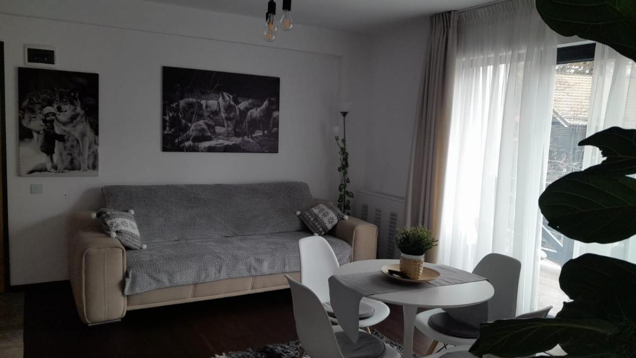 Casa Larisa - Wolves Apartment 锡纳亚 外观 照片