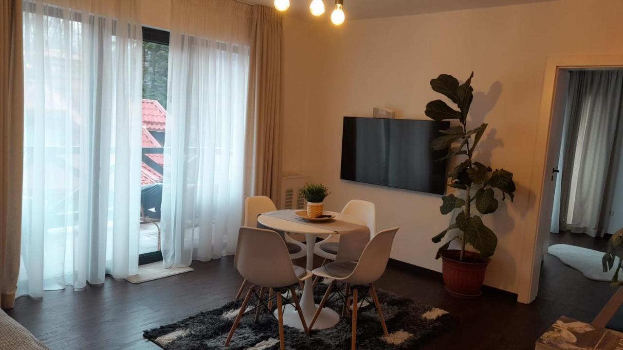 Casa Larisa - Wolves Apartment 锡纳亚 外观 照片